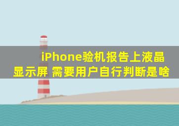 iPhone验机报告上液晶显示屏 需要用户自行判断是啥